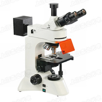 LED Light Scientific Research Grade Three-Mesh Downshot Fluorescence Microscope BGUUV4 Color Fluorescence Excitation Group