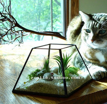  Simple creative geometric glass greenhouse Succulents flower pot Micro-landscape Immortal flower Glass flower box Flower device