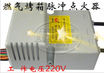 General commercial special gas oven oven igniter pulse igniter oven accessories gas oven fire