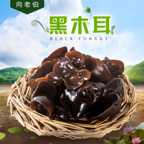 To The Old Man super black fungus fungus dry goods wild black fungus autumn root 250g