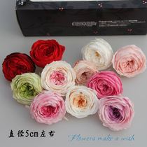 Japan Earth Farm preserving8 double color Austin 5cm Eternal Flower Single DIY