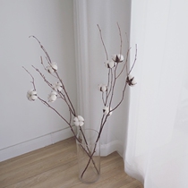 Natural plant dried flower 5 multi-branch cotton handmade natural bouquet B & B cafe hotel decoration