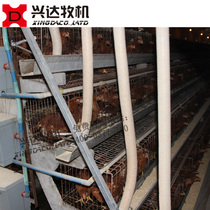 50mm blanking hose laying hens automatic feeder special automatic chicken equipment factory direct sales