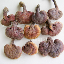 Authentic Yunnan wild pruning small Ganoderma lucidum 250g 3cm untreated original ecological bulk Ganoderma lucidum