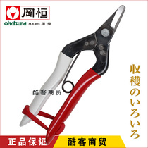  Japan imported Okaheng 301 scissors shiitake mushroom feet and legs curved blade elbow tilted head fruit picking scissors