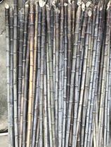 Zizhu flute material