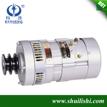 24-36V DC Marine motor 1000W matching regulator charging bottle regulator generator bracket lighting