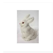 Photo studio photography props White Rabbit props