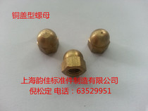 Copper cap nut General cap military cap cap cap GB923-76