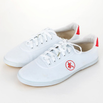 Children Martial Arts Shoes Practice Shoes Double Stars Adult Shoes Tai Chi Shoes Canvas Bull Gluten Bottom Male Martial Arts Shoes Practice Shoes