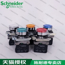 Schneider illuminated push button switch ZBE-101 ZBE-102 ZBV-M1 ZBV-B3