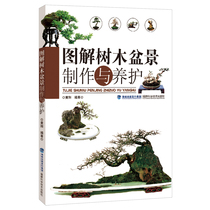 Illustration tree bonsai production and maintenance Genuine books Flower books Book Daquan Bonsai production tutorial book Entry collection Bonsai book Flower Bonsai modeling book Home gardening design book tools