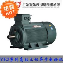 Dongguan motor YE2 series high efficiency three-phase asynchronous motor Electric motor energy-saving motor Global brand