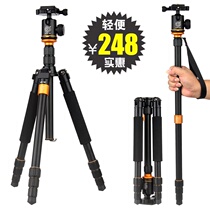 Light age Q999S SLR camera tripod micro single camera mobile phone selfie stand live tripod