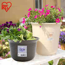 Alice flowerpot minimalist resin plastic flower plate ceramic large gardening gallon Alice Green rose meat