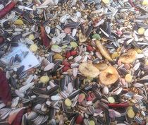  Advanced parrot food Medium and large parrot feed Parrot special seed food containing nourishing pills bird food 1 kg