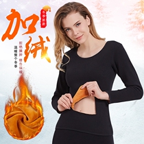 2020 large round collar U collar thermal underwear female plus suede thickened plastic body winter tight fit long sleeves bottom blouse