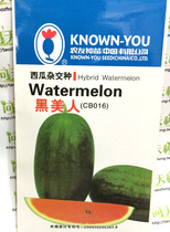 Farmers early-maturing high sugar red soil black beauty small watermelon melon fruit seeds Four Seasons gifts vegetable seeds
