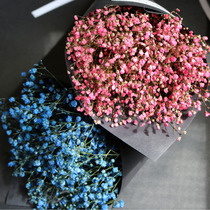 Air-dried flower bouquet Yunnan starry forget-me-not gift box Best Friend Teachers Day Valentines Day Gift small fresh