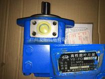 YB-FQ100 wide liquid plate ultra high performance vane pump die casting machine aluminium extruder displacement 98ml r
