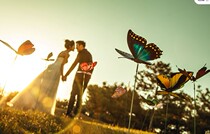 Wedding photography props 2019 New Photo Studio exterior children theme props headdress simulation butterfly 12CM