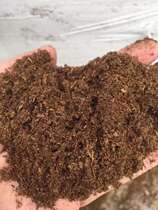 Obua peat soil nutrient soil acidic blueberry special imported grass soil grass charcoal soil nursery soil