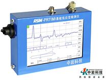China Rock Technology RSM-PRT(M) Dual Channel Low Strain Tester Low Strain Tester