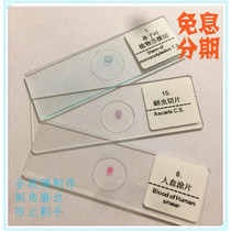 Biomicroscope specimen sliced animal plant insect human cells English and Chinese Childrens student experimental equipment