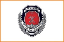 Micro fire station system Wall Chart fire system poster micro fire station-logo map