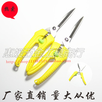 Pick Cut Garden Cut Garden Cut Garden Cut Branches Cut Flowers Branch Cut Fruit Cut Fruit Branches Cut Twigs Branch Cut Flowers Wood Cut