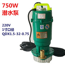 750W1 inch submersible pump 220V household agricultural irrigation underground pump drainage fountain fresh water pump 0 75KW