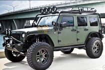 TRX4 Double Eagle Wrangler JK SCX10 5 door luggage rack customized