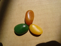 (mass A) Yu Yu Order Payment Link Hanging Piece of Haiya Su and Tanaka Seed Material