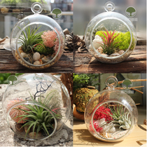Air pineapple micro-landscape creative gift DIY desktop green plant air grass glass bottle potted decoration hanging bottle