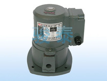 Taiwan Weiliang oil pump Taiwan Dagang cooling pump Self-priming pump DS08