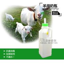 Small lamb sheep with milk bottle sheep with milk bottle sheep with milk bottle pacifier bottle breeding equipment instruments with milk bottle