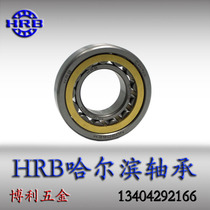 HRB cylindrical roller bearings single row N206EM NJ206EM NU206EM RN206M 42206 32206