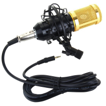 BM-800 Condenser Microphone Cardioid Pro Audio Studio Vocal