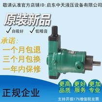 10 16 25 32 40 63 80 100 160 250 400YCY14-1B Qidong axial plunger pump
