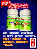 Cockfighting medicine pigeon medicine pigeon medicine cockfighting supplies cockfighting training cockfighting feet soft mi Ga 248 bottle