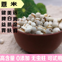 Chinese herbal medicine small barley barley coix seed 500g farm dehumidification with fried barley Red Bean Red Bean Gorgon tea