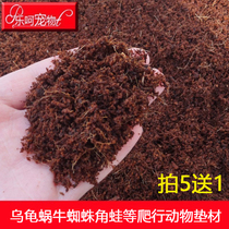 White Jade Snail Over Winter Coconut Earth Turtle Sterile Earth Mat Materials Lu Tortoise Hibernate Base Material Red Rose Spider Reptile Laying Mat