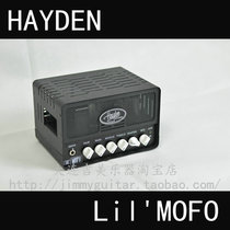 HAYDEN LilMOFO electric guitar tube split speaker box head 2W