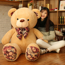 Printed collar bear plush toy teddy bear Doll Doll pillow for girl gift