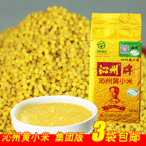 Shanxi Special Qinzhou Nameplate Yellow Millet 500 gr Qinzhou Yellow Millet Moon Rice Plastic Bag Vacuum Dress Free Of Washing