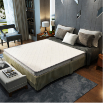 Imported 3E coconut dream Wei Coconut palm mattress Palm mountain palm mat 1 8 meters folding anti-mite health ridge protection formaldehyde-free