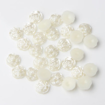 15mmabs Rose Imitation Pearl Shoe Suit Beauty Material Wedding Dresses Accessories Dance Suit New 100