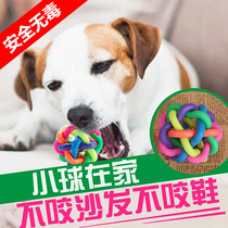 Toy cat and dog ring bell ball Colorful bell ball Funny dog ball Pet toy ball Large medium and small rubber ball