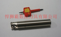 Tiger lion bully CNC tool milling cutter rod BRP5R 262T25-120 variable milling cutter rod with RP10T3 milling blade