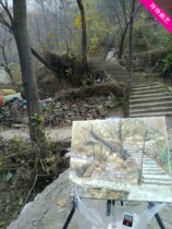 Sketchwork oil painting finished painting collection oil painting Still Life generation painting home decoration oil painting landscape oil painting spot